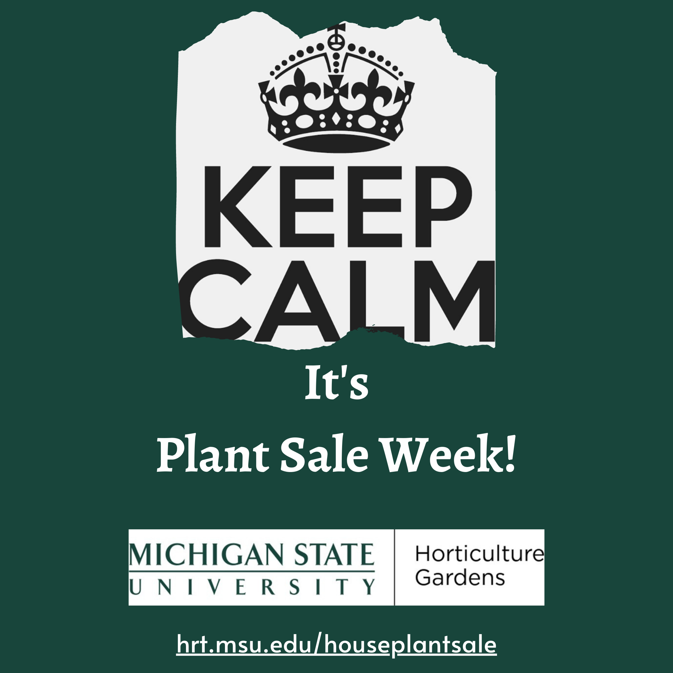 Fall Plant Sale Week Video